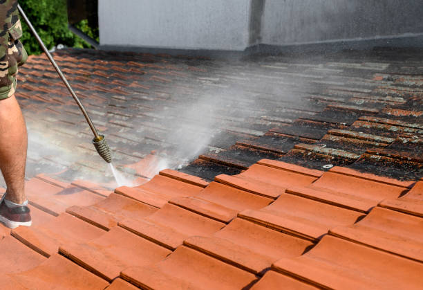 Best Roof Power Washing Services  in Jonesboro, LA