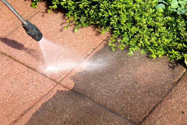 Best Exterior Home Cleaning  in Jonesboro, LA